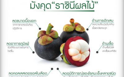 การปลูกและการดูแลรักษา มังคุด