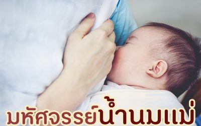 มหัศจรรย์น้ำนมเเม่