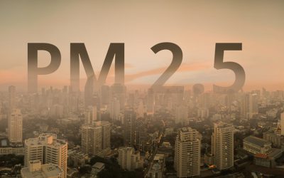 PM 2.5 คู่ปรับภูมิแพ้
