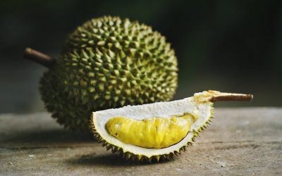 “ทุเรียน” พันธุ์ไหน กินแล้วอ้วนง่ายที่สุด?