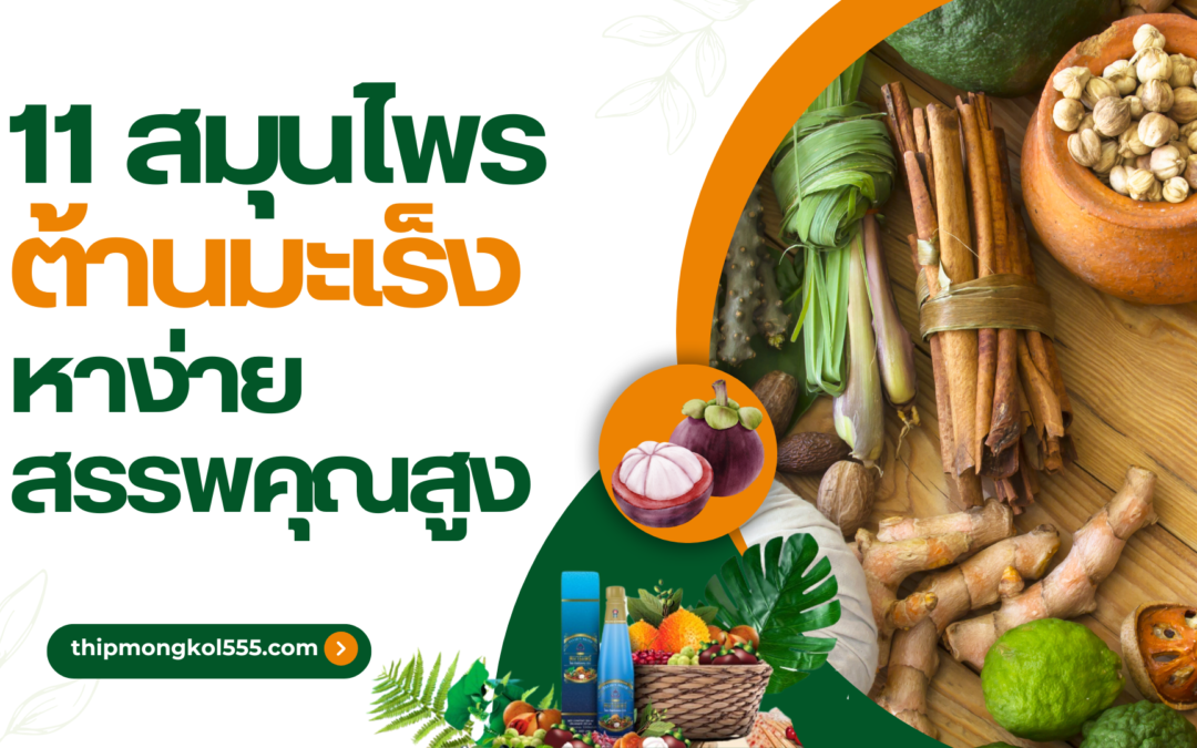 11 สมุนไพรต้านมะเร็ง ห่างไกลโรคร้ายด้วยสิ่งใกล้ตัว